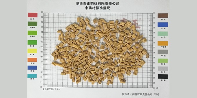 黨參0.4cm以上段